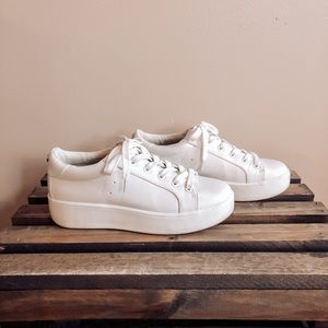 Steve Madden | Bertie Sneaker